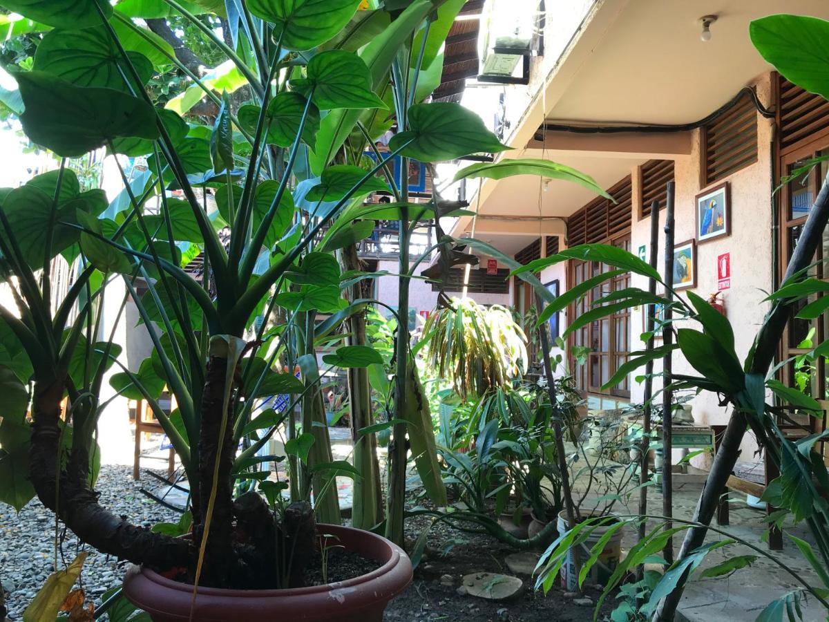 Casa De Palos Boutique Tarapoto Exterior foto